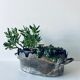Silver metal flower pot or cover