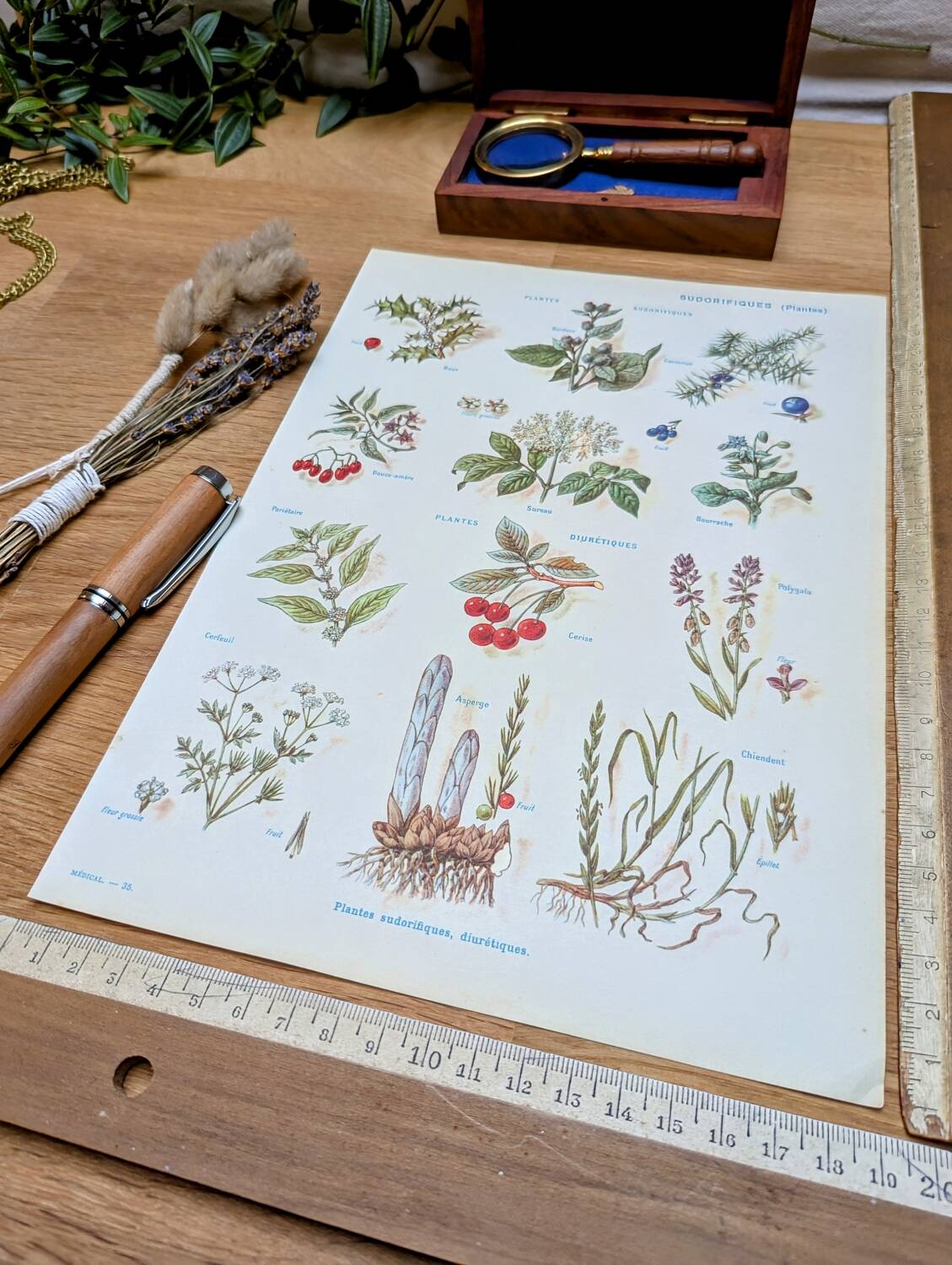 Medical plant board, printed in 1954