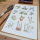 Medical plant board, printed in 1954