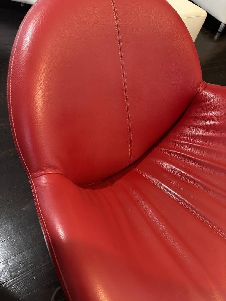 Leolux Papageno armchair