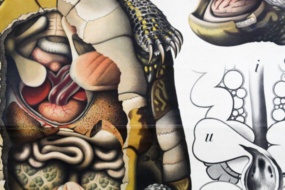 Antique poster from the beginning of the 20th century Paul Pfurtscheller "turtle" 1913