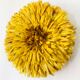 Juju hat jaune 60 cm