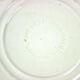 Dessert plate - floral blue décor - Ironstone England