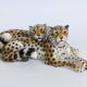 Large porcelain sculpture pair of leopards Italy 1970s Ronzan style