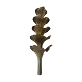 Wall lamp design in gilded metal, leaf décor