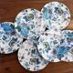 lot of 6 old hollow plates English earthenware Mason's