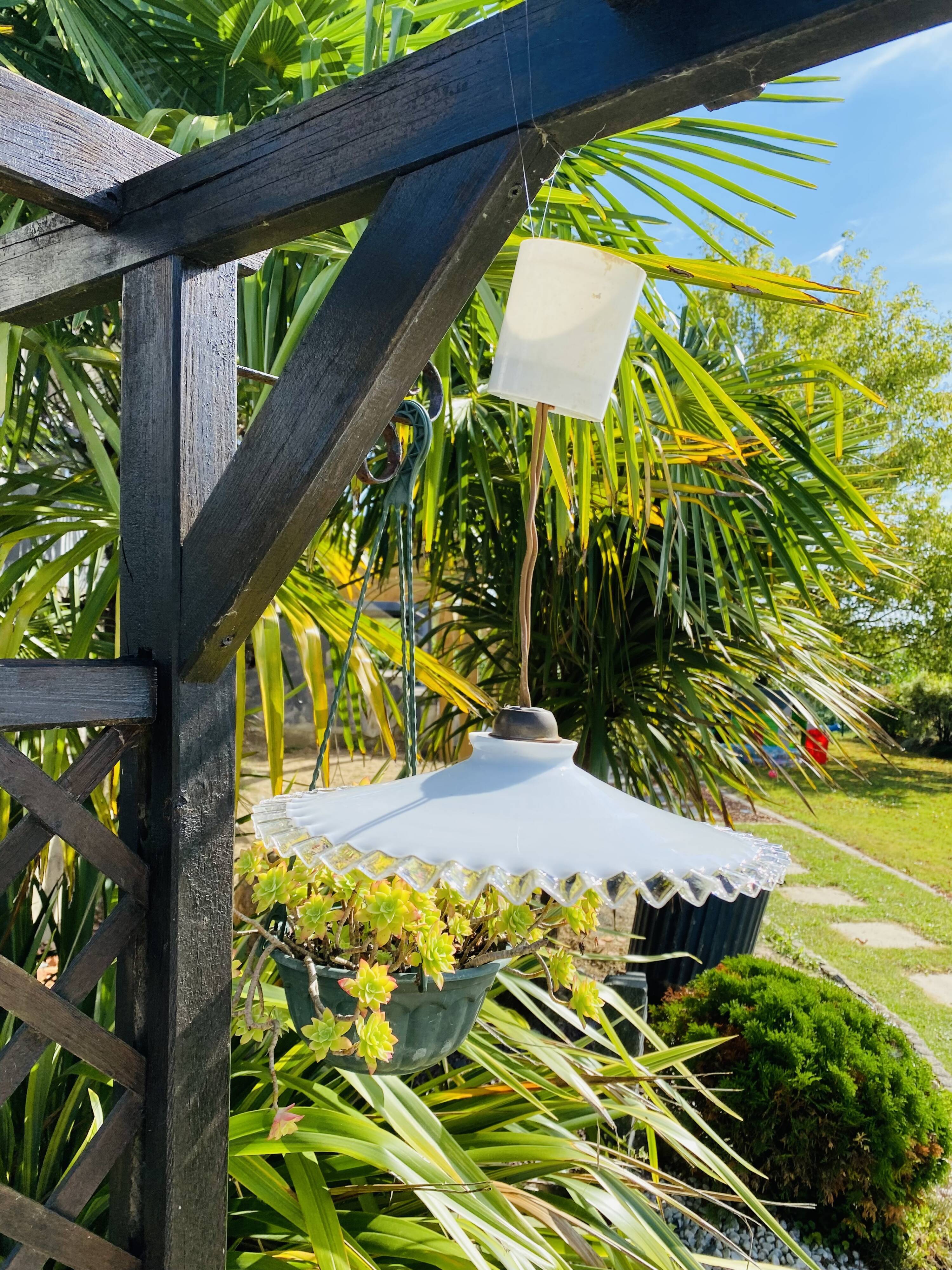 Toothed opaline suspension