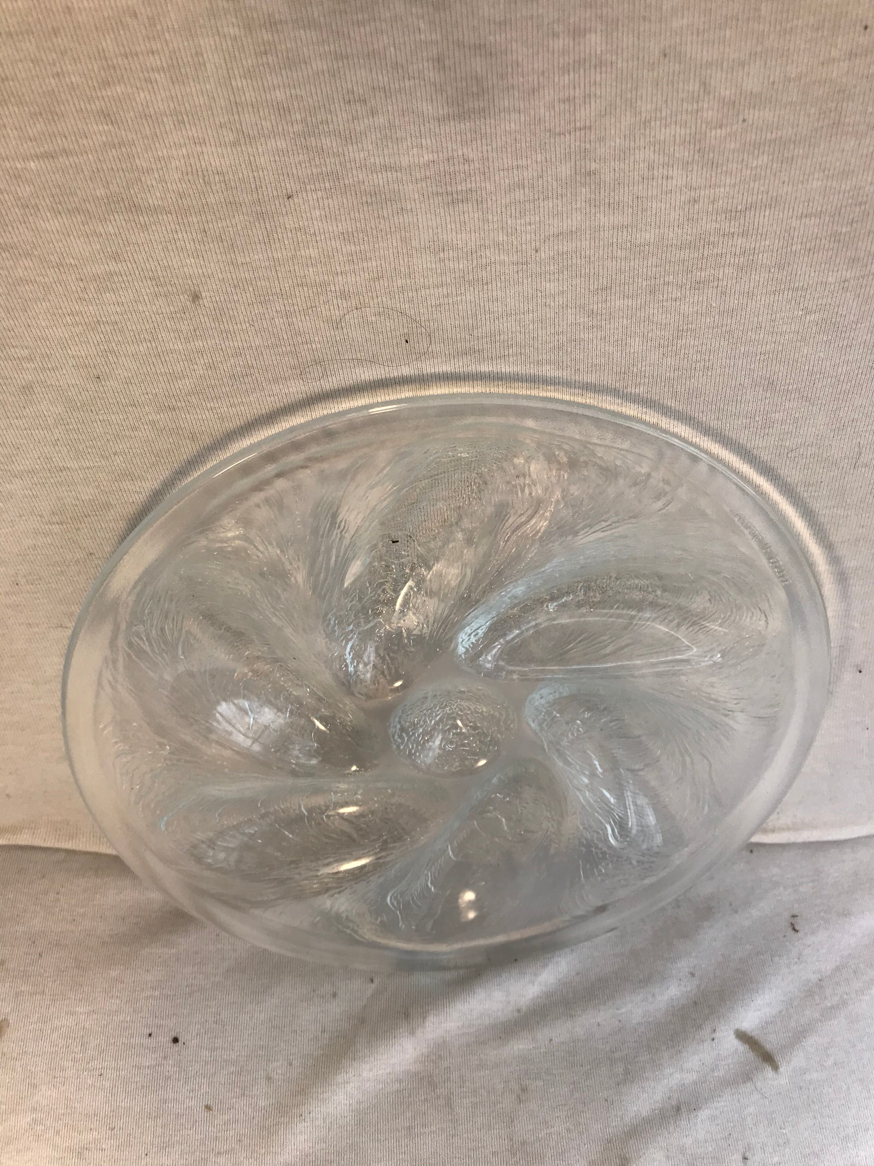 Series 6 old oyster plates Arcoroc moulded glass - vintage box