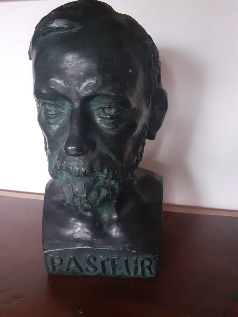 Large plaster bust of Louis Pasteur