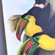 Vintage illustration. Keel-billed Toucan by J. Gould – 33x49cm. Bird print