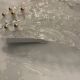 Large Murano Glass Sconces