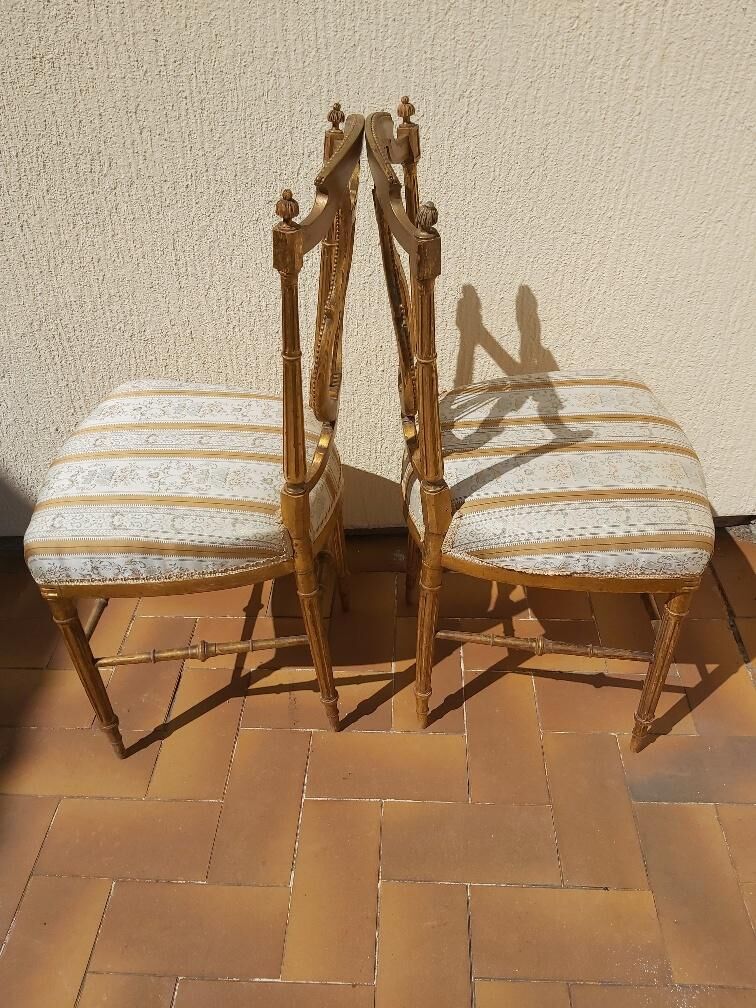 Pair of chairs with a golden lyre