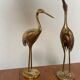 Herons laiton