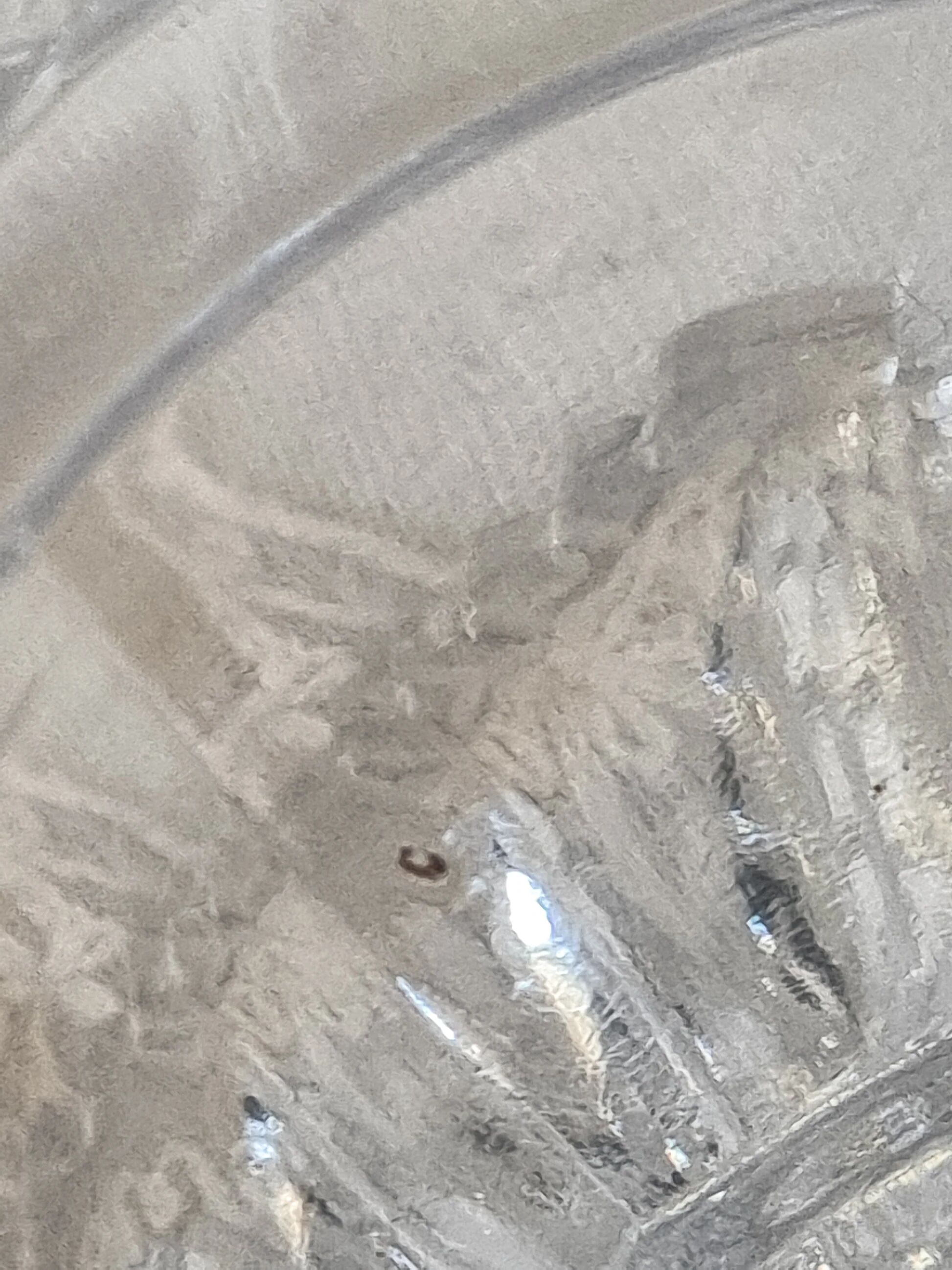 Crystal vase