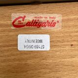 Set of 2 Calligaris chairs