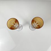 Yellow colored crystal champagne coupe duo