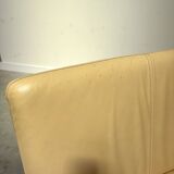 De Sede lounge shell; DS102