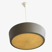 Niek Hiemstra hanging lamp for Hiemstra Evolux 1960