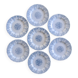7 assiettes XIXe terre - fer