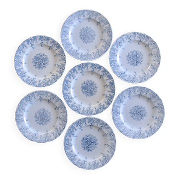 7 19th century ironstone plates signed KG Lunéville, "Neva" collection