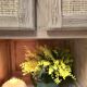 Restored Mado furniture