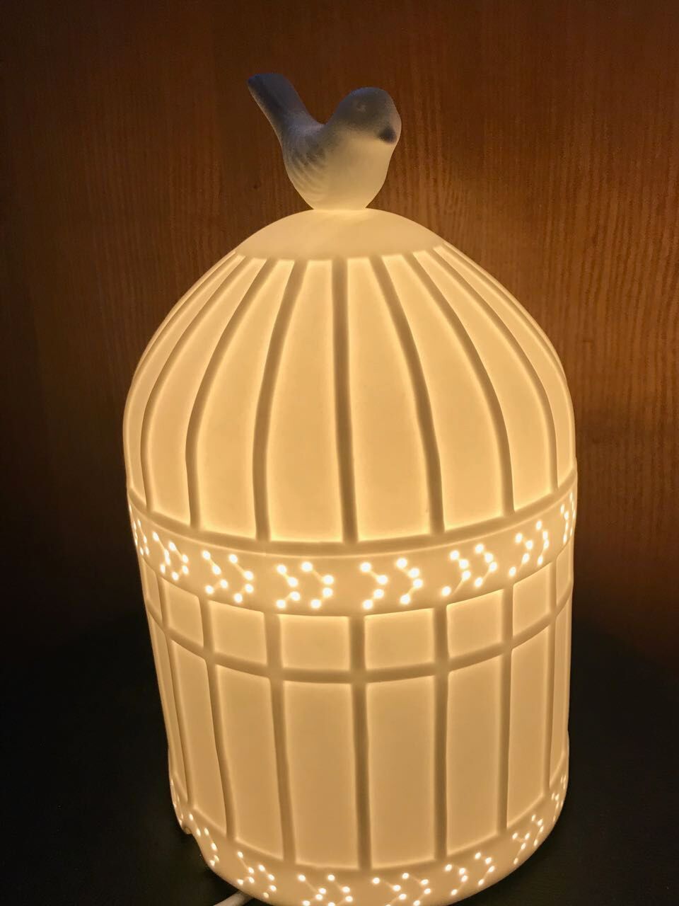 Cookie bird cage table lamp