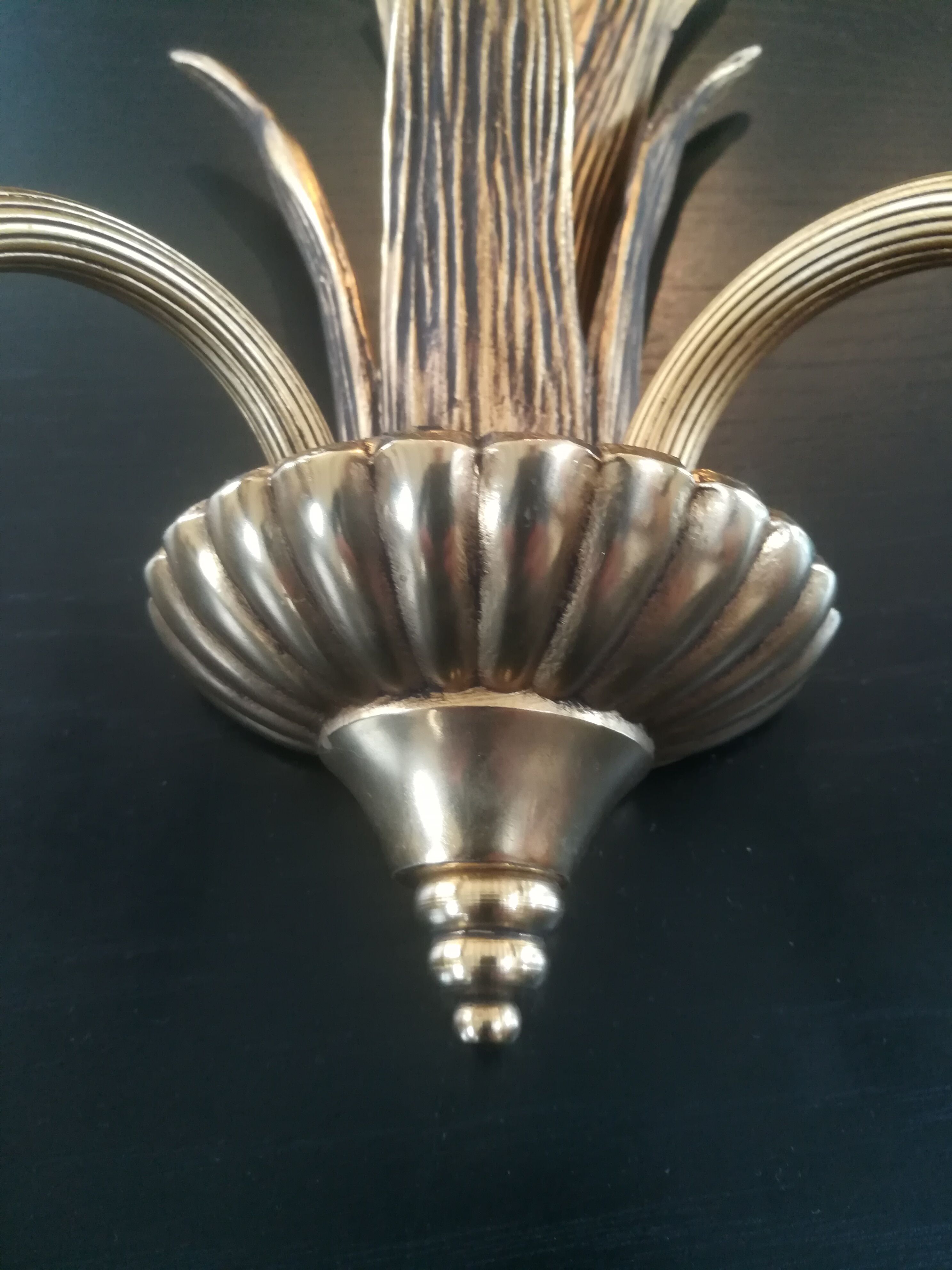 Paire d'appliques palmier en bronze et laiton