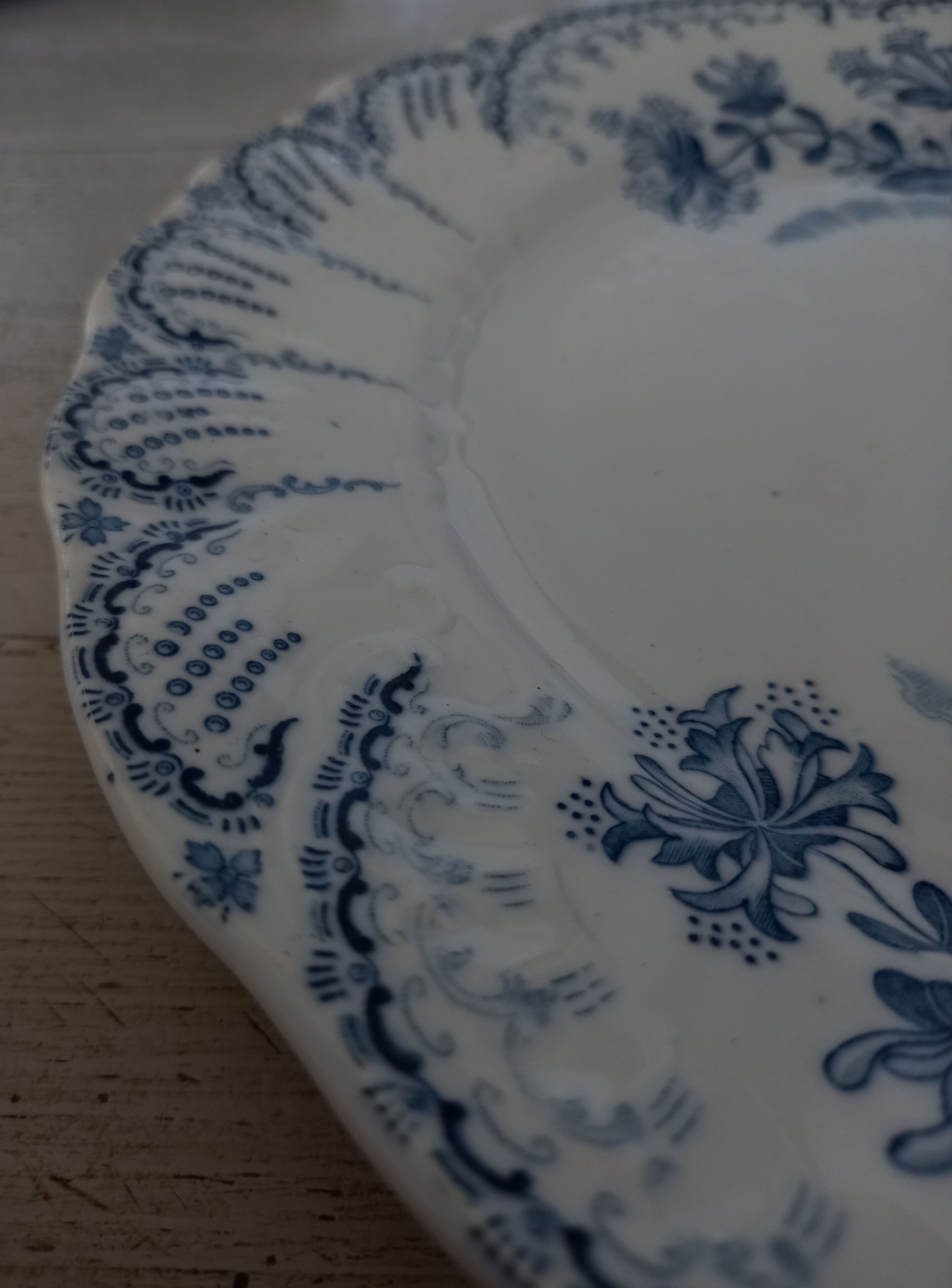 Pair of flat plates Terre de Fer "Régence" Saint-Amand & Hamage