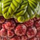 Raspberry slip pot