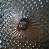 Iridescent sea urchin ceiling