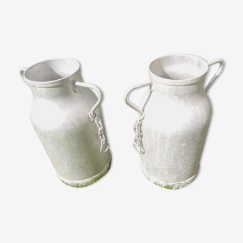 Pots of firm milk from the high Vosges