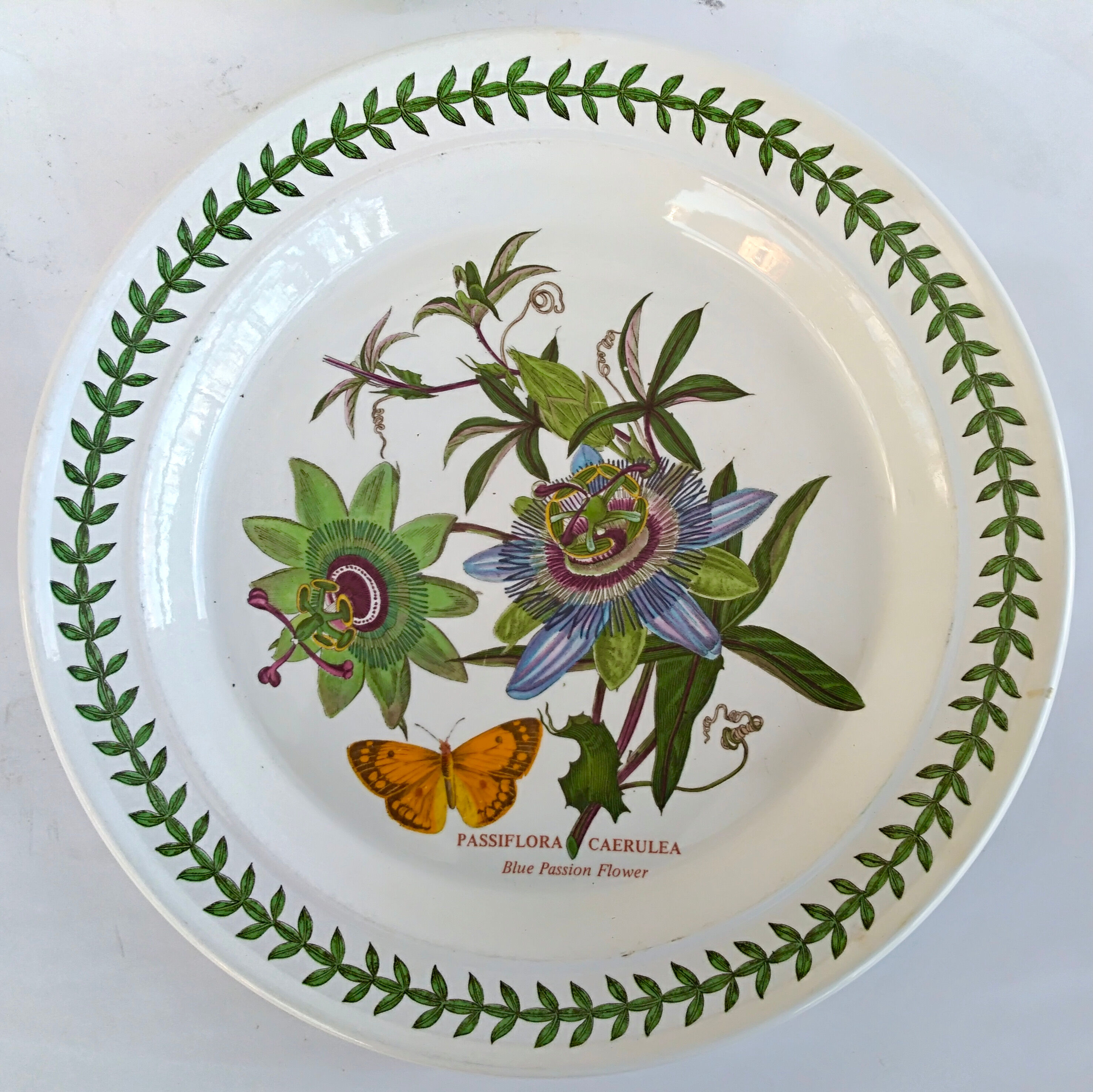 Set of 2 dishes earthenware portmeirion made in england décor botaznic garden