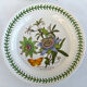 Set of 2 dishes earthenware portmeirion made in england décor botaznic garden