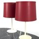 Table Lamp with Tulip Base