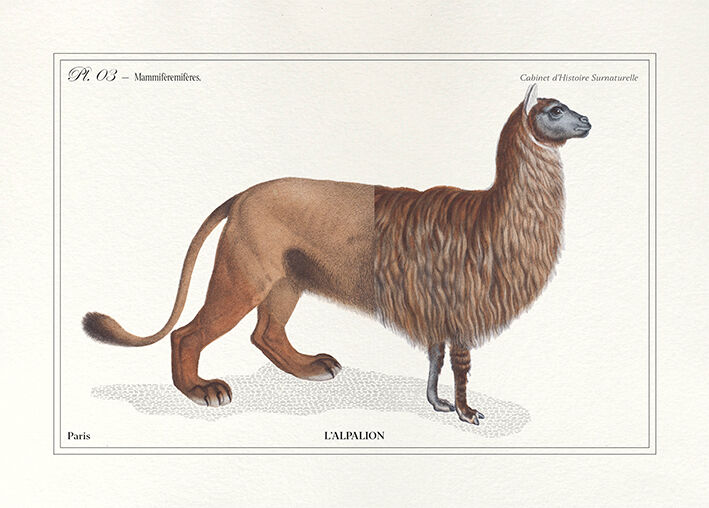 Chimera lithography engraving animal - the alpalion