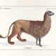Chimera lithography engraving animal - the alpalion