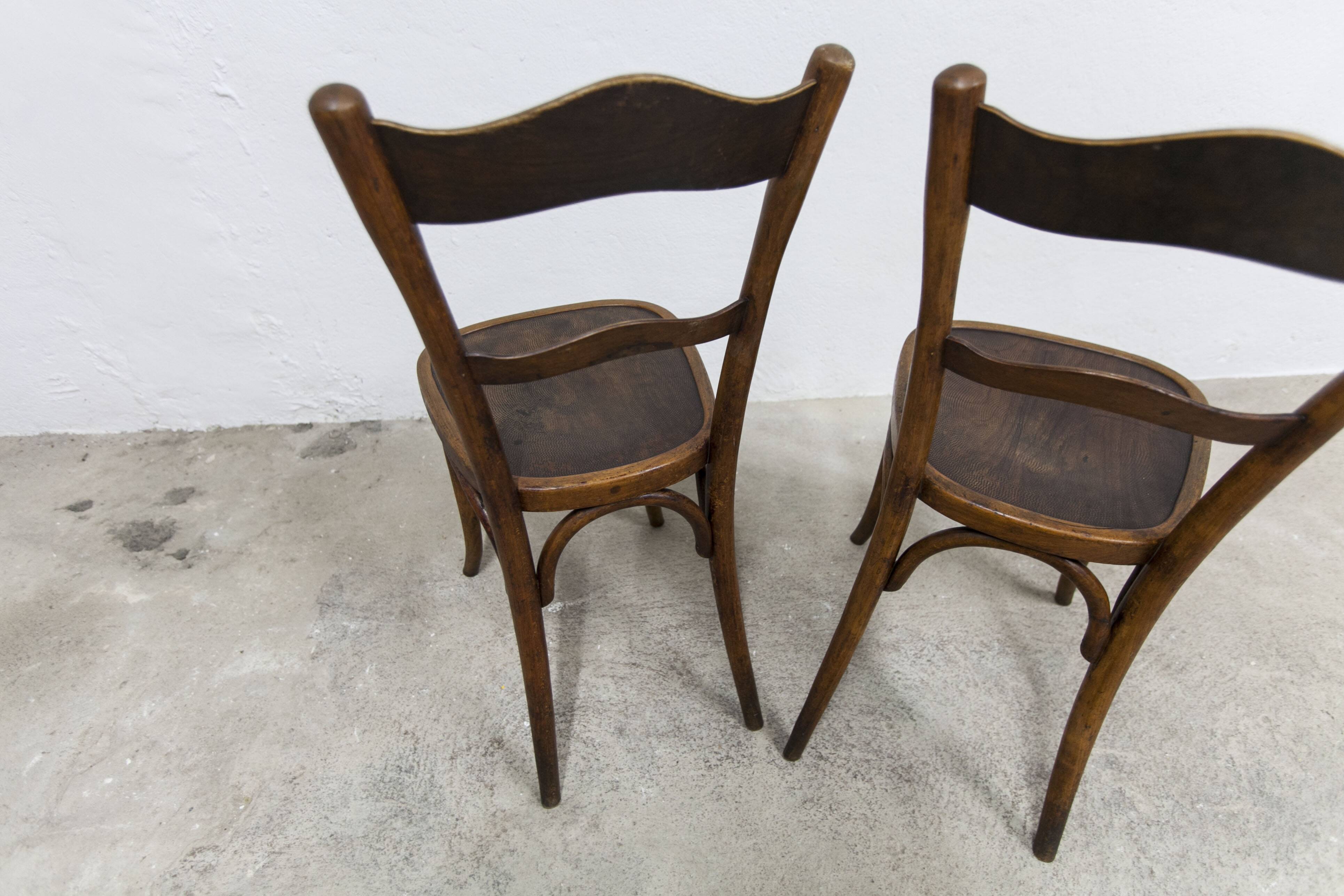 Pair of Baumann Bistrot chairs from the 1920s with pyrography seat