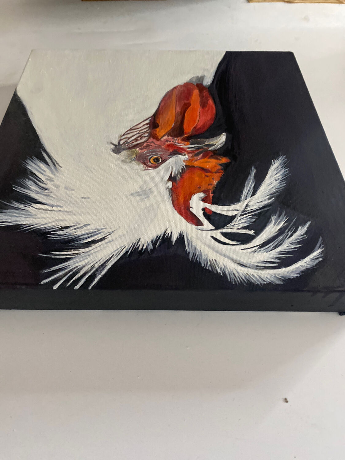 Coq - contemporary oil painting on canvas