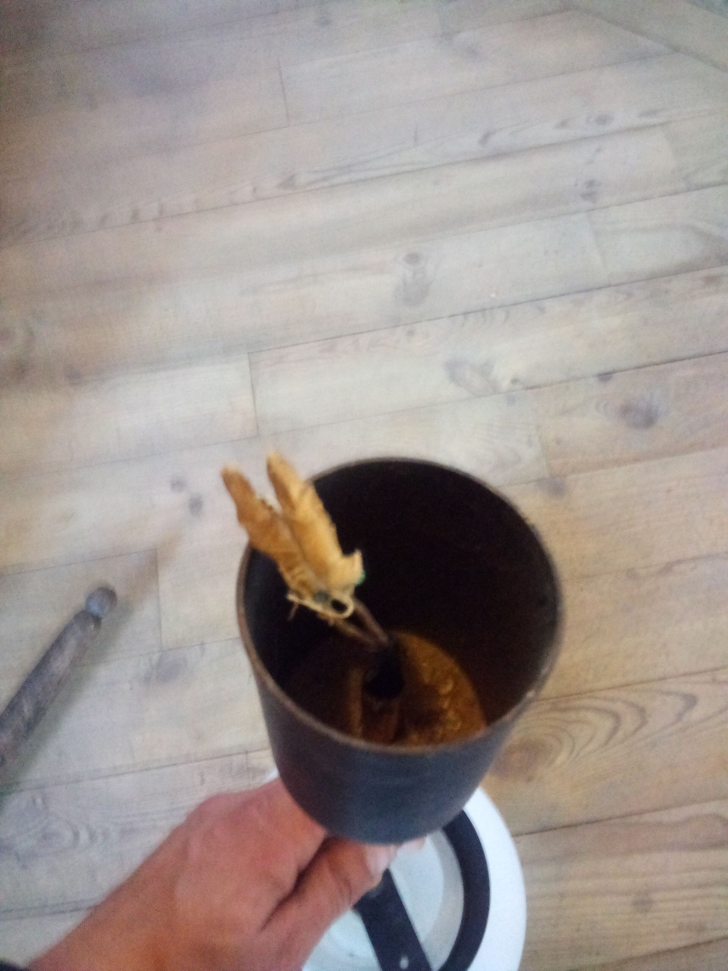 Hanging lamp years 50