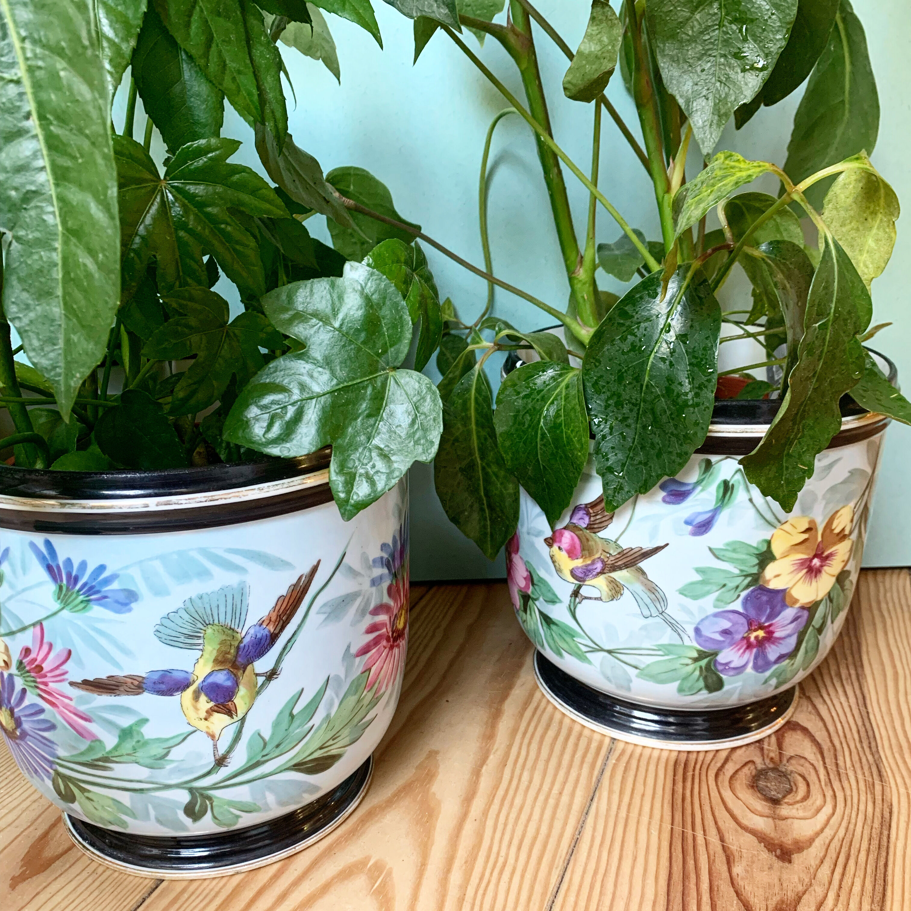 Lot de deux cache-pots en porcelaine de Limoges