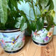 Lot de deux cache-pots en porcelaine de Limoges