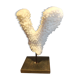 Coral on pedestal