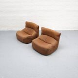 Aralia Chair by Michel Ducaroy for Ligne Roset 1970s