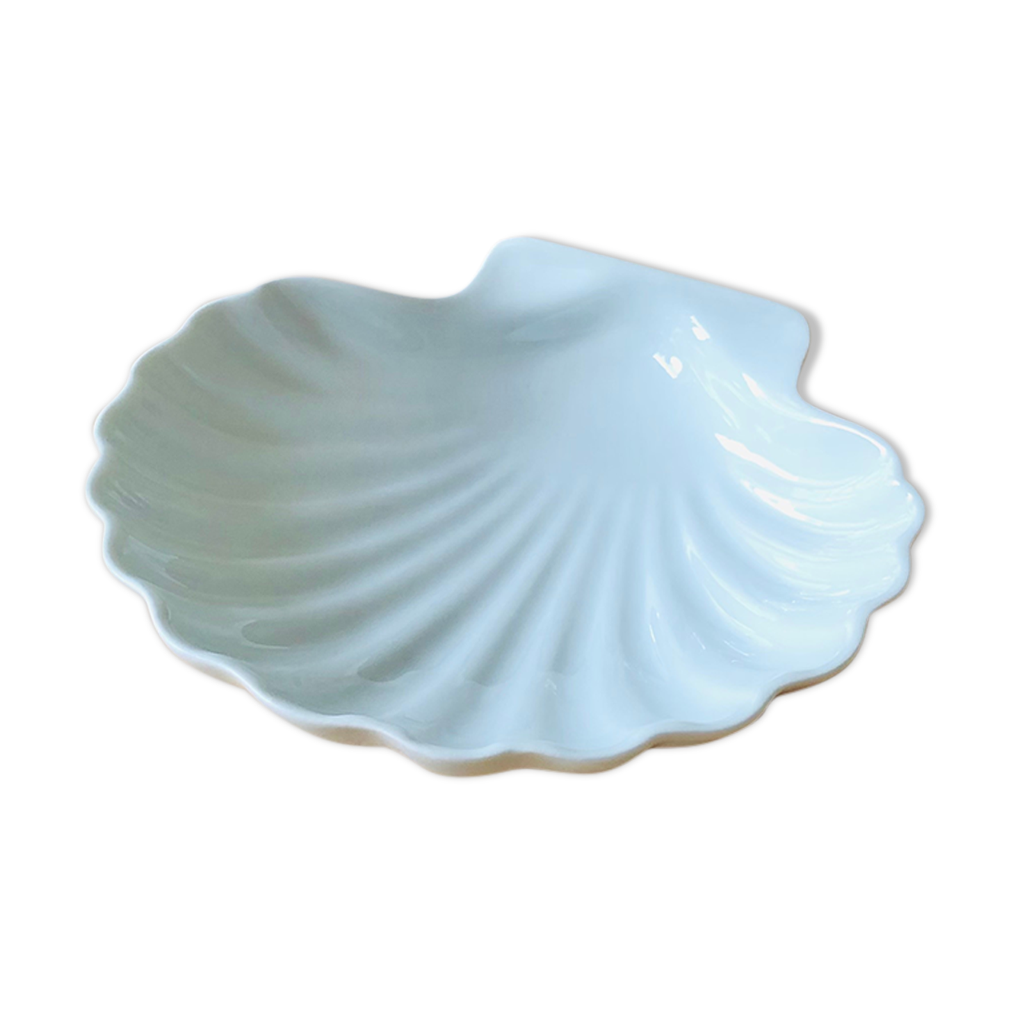 Empty-pocket porcelain shell cup