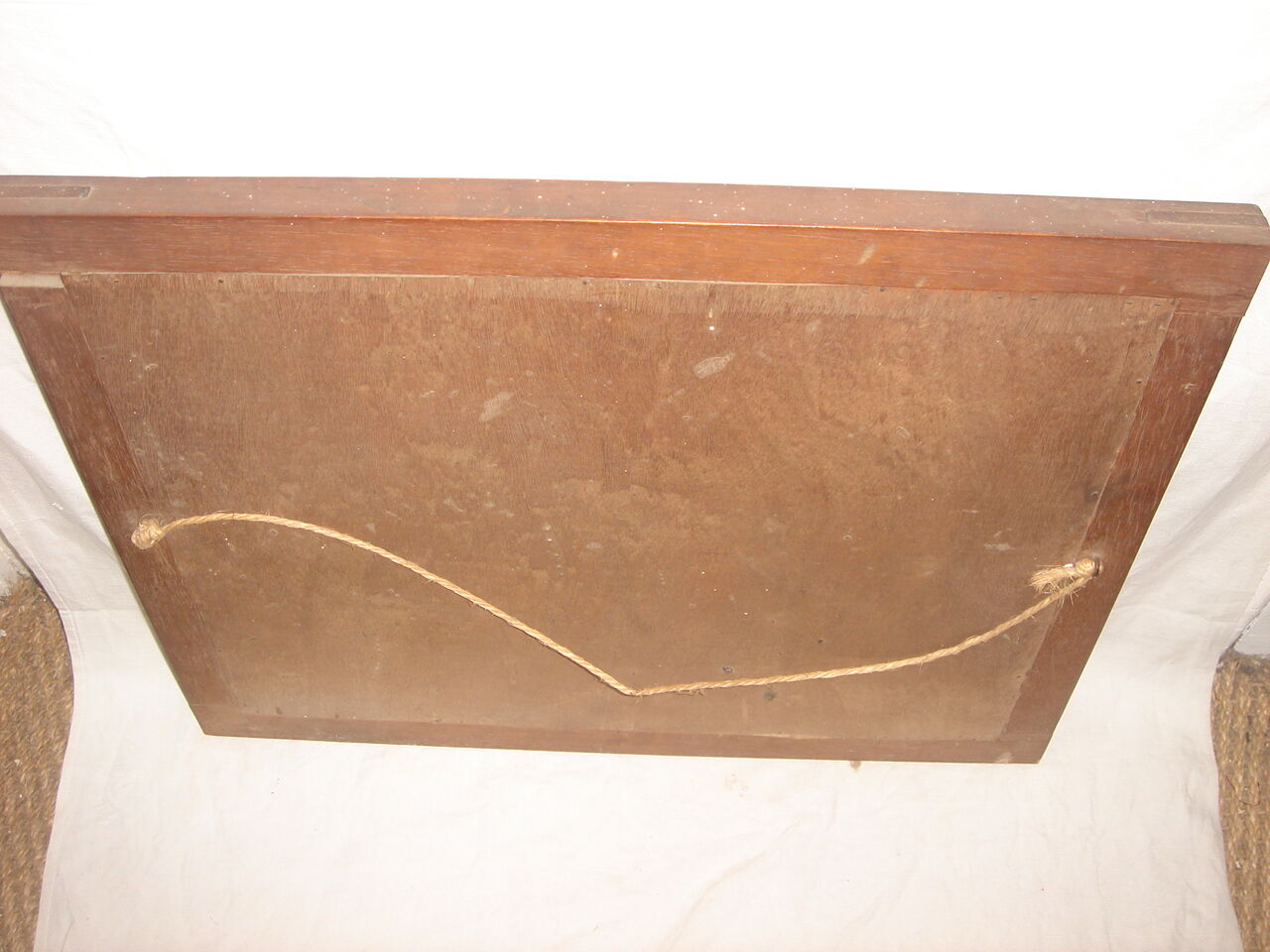 Naturalized Butterflies of Madagascar, 1960