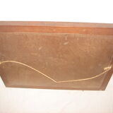 Naturalized Butterflies of Madagascar, 1960