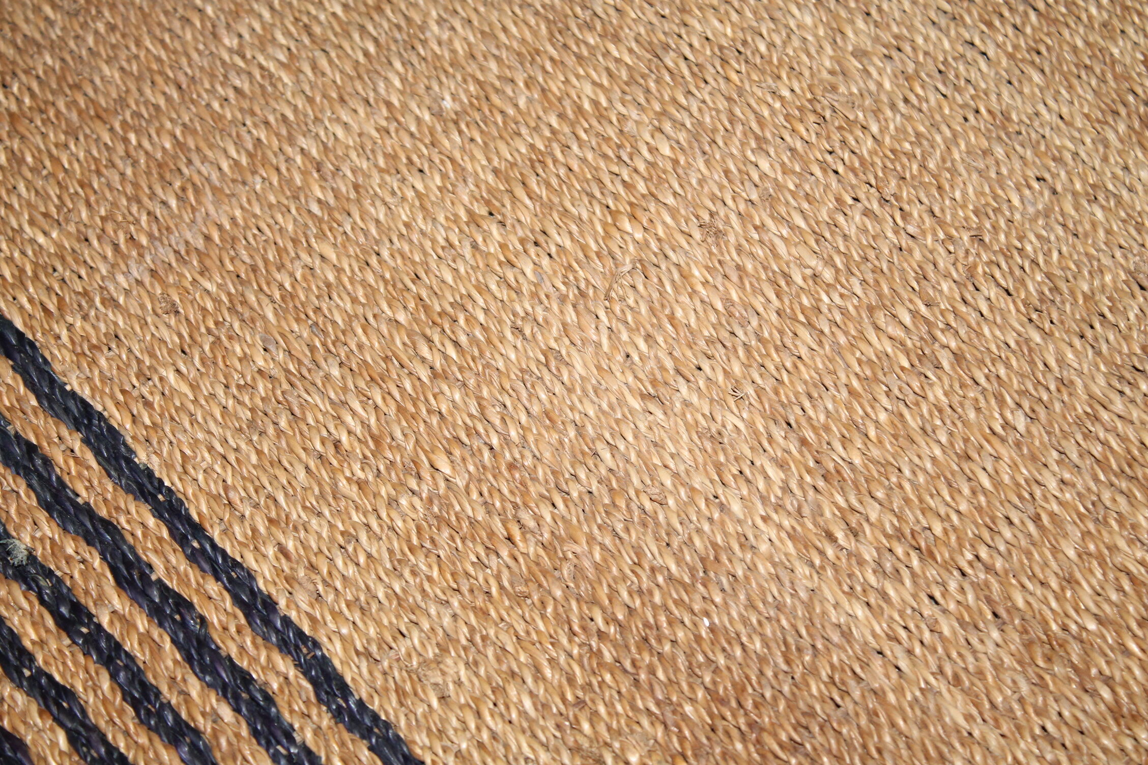Carpet fiber plant 144x73cm