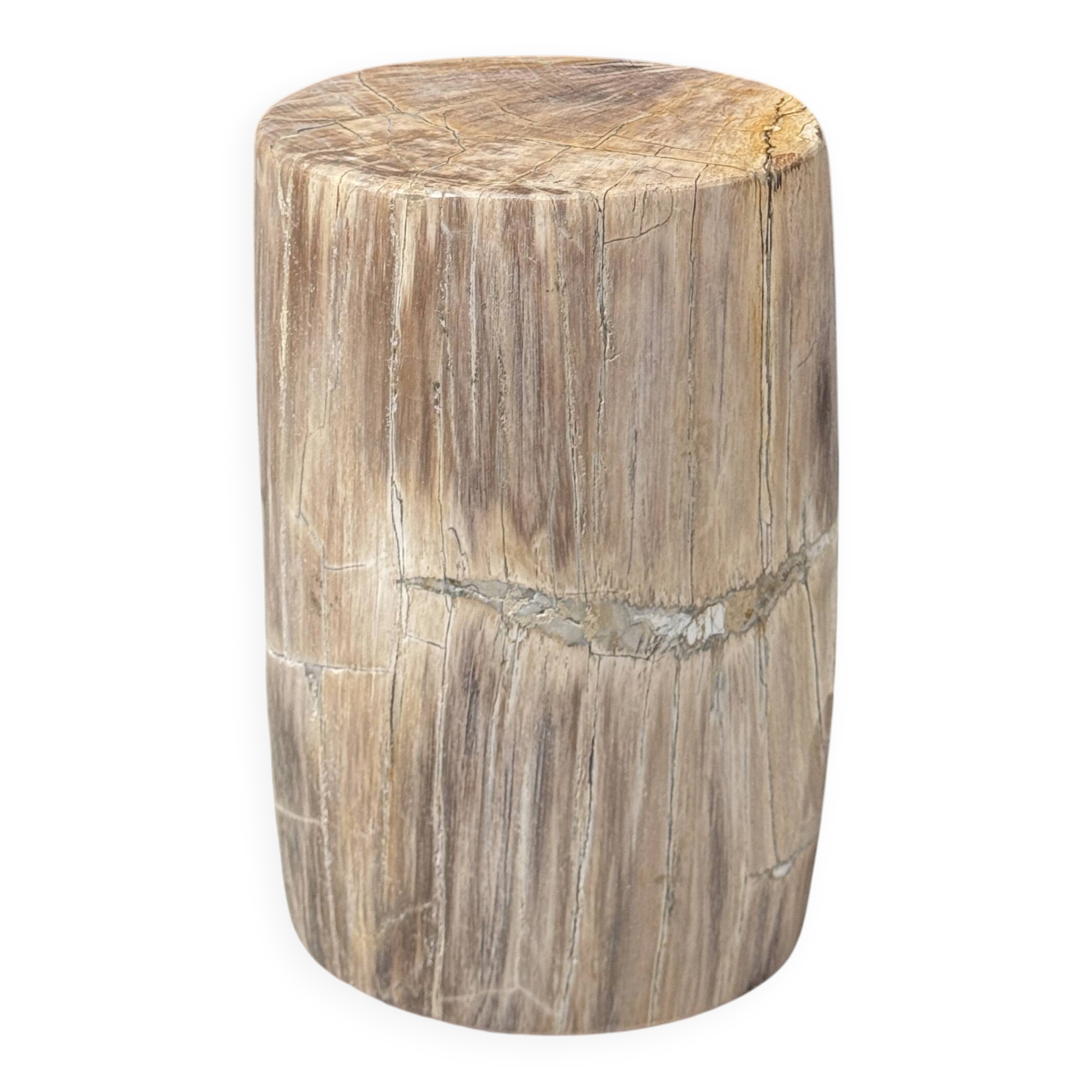 Small beige-grey petrified wood side table H28 D18 - 3325