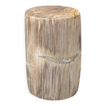 Petite table d'appoint en bois pétrifié beige gris H28 D18 - 3325