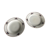 Duo flat and hollow plates, Iron Earth
